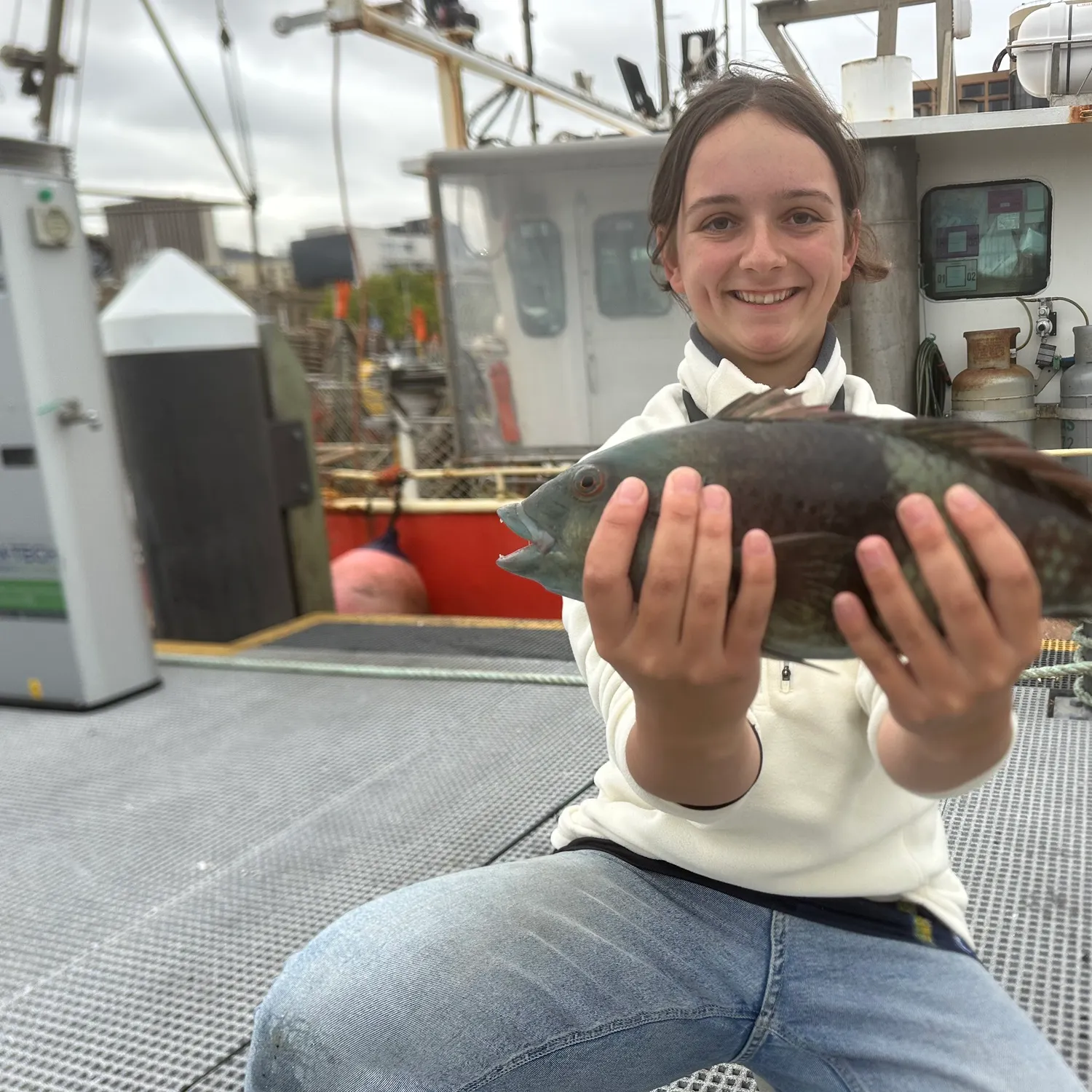 The most recent Rock wrasse catches on Fishbrain