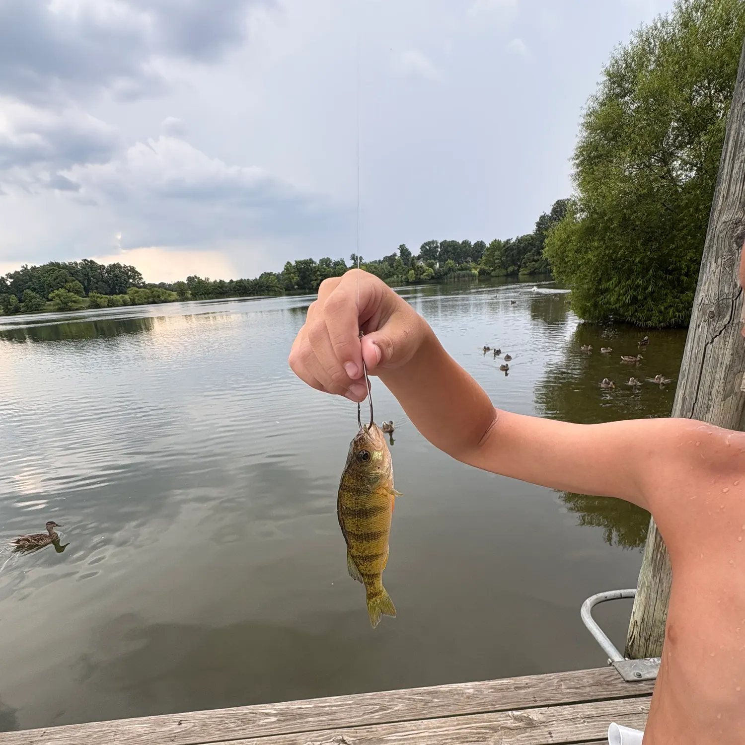 catch