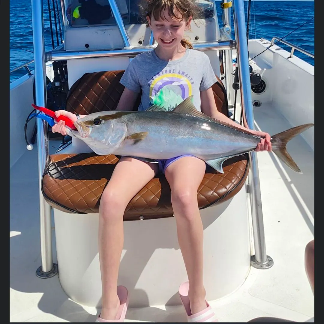 The most recent Greater amberjack catches on Fishbrain
