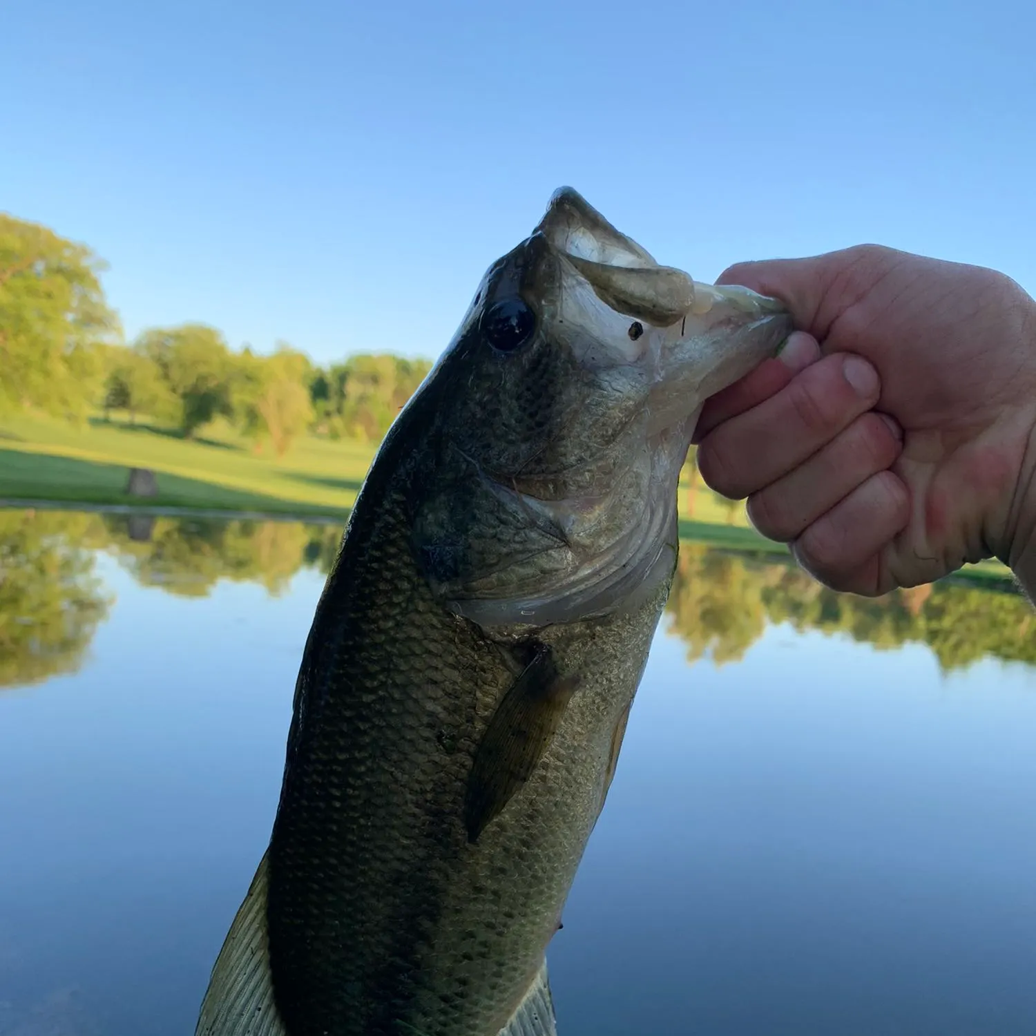 angler catch