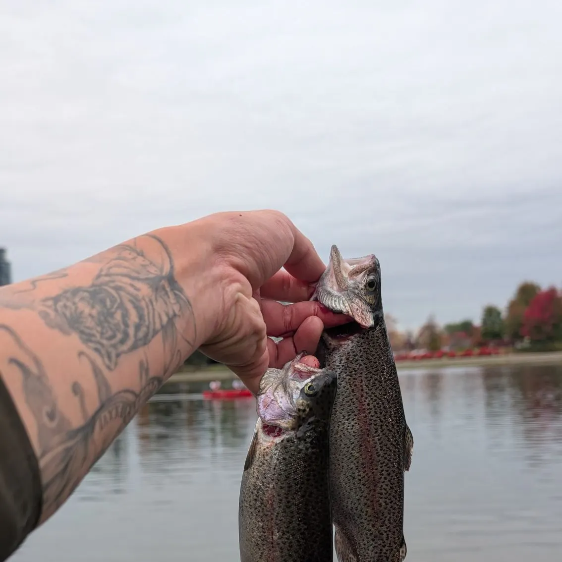 catch