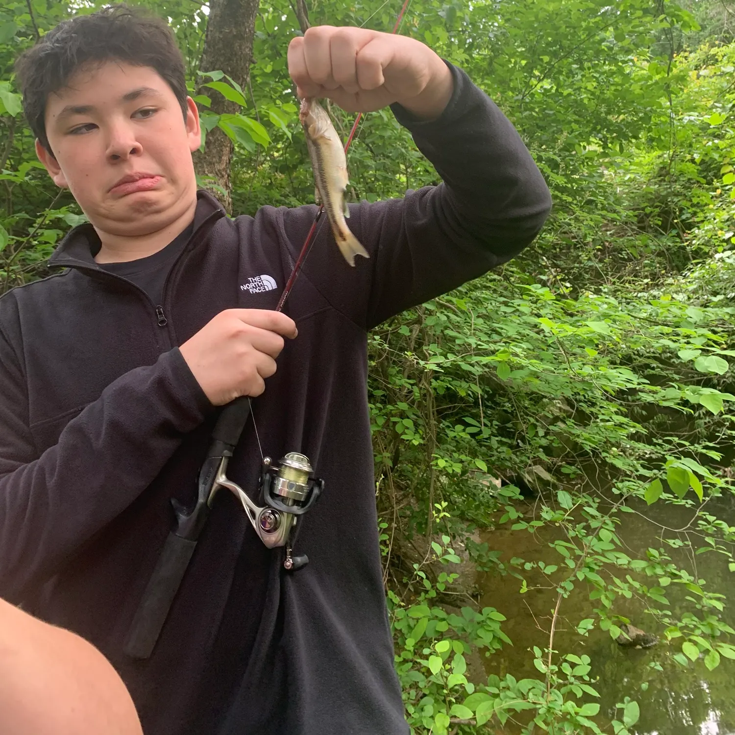 The most recent Creek chub catches on Fishbrain