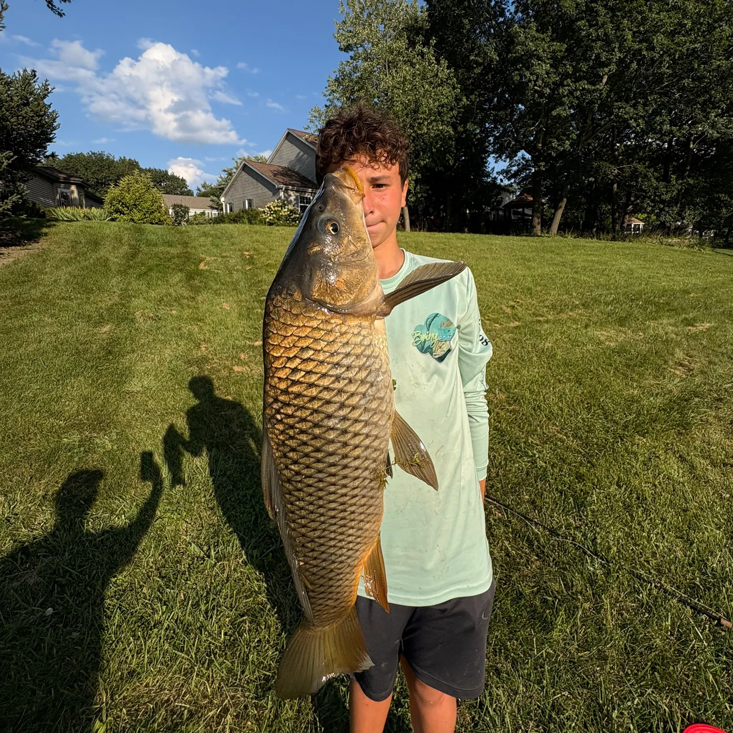 Common carp caught on Fishbrain