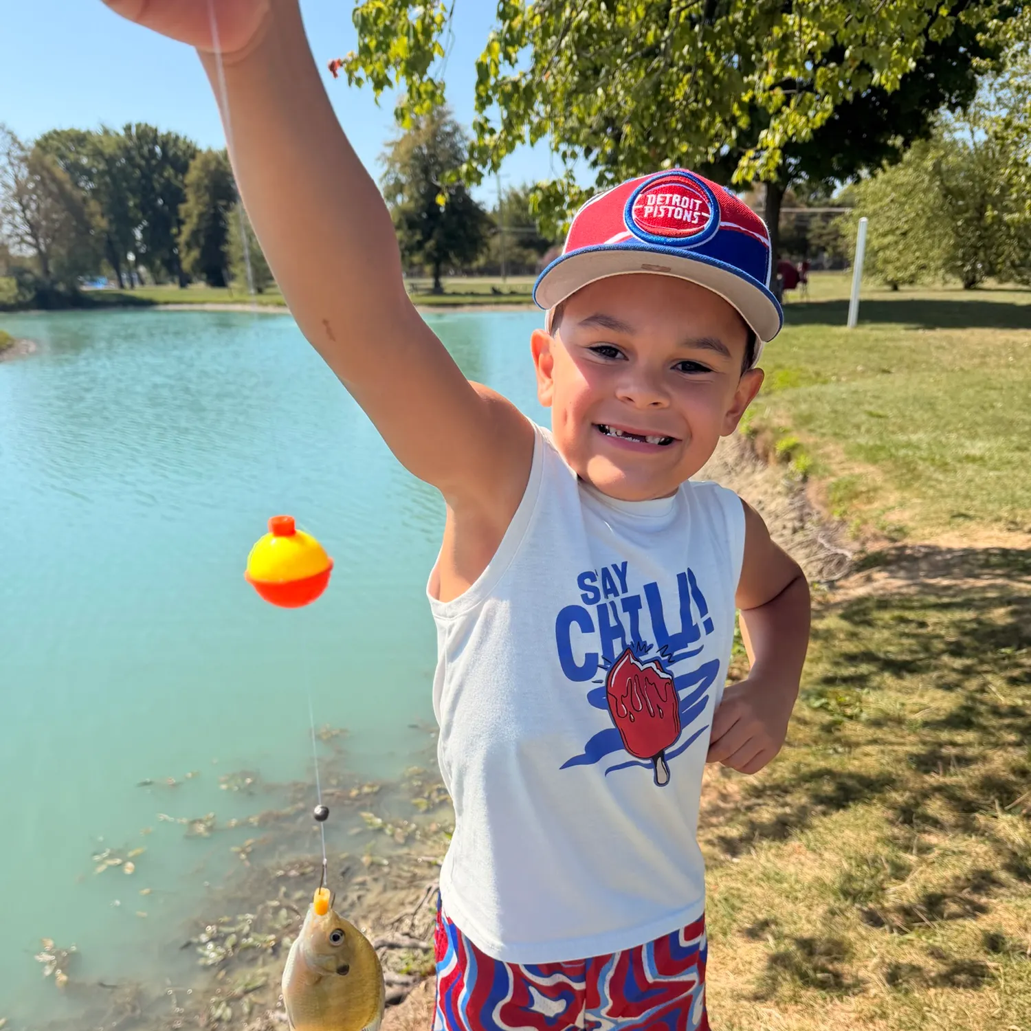 Bluegill caught on Fishbrain