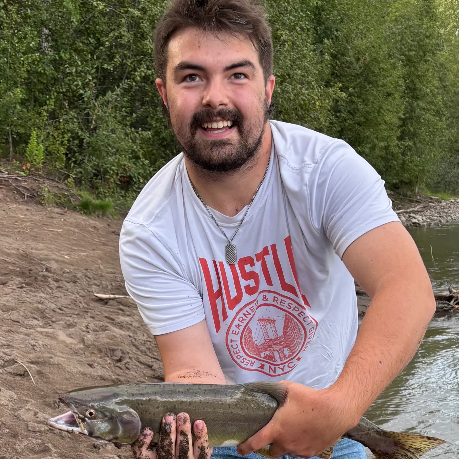 Pink salmon caught on Fishbrain