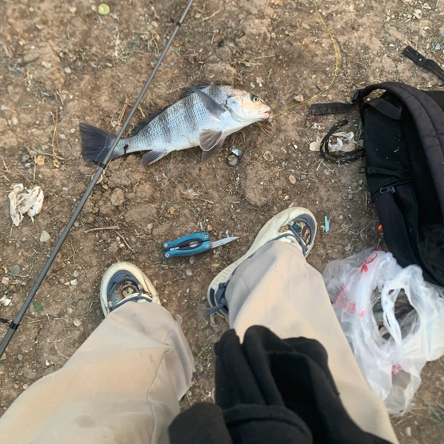 catch