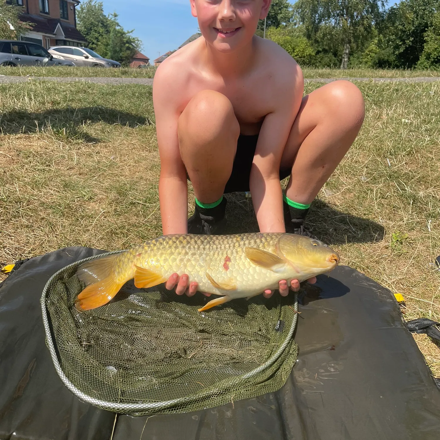 Common carp caught on Fishbrain