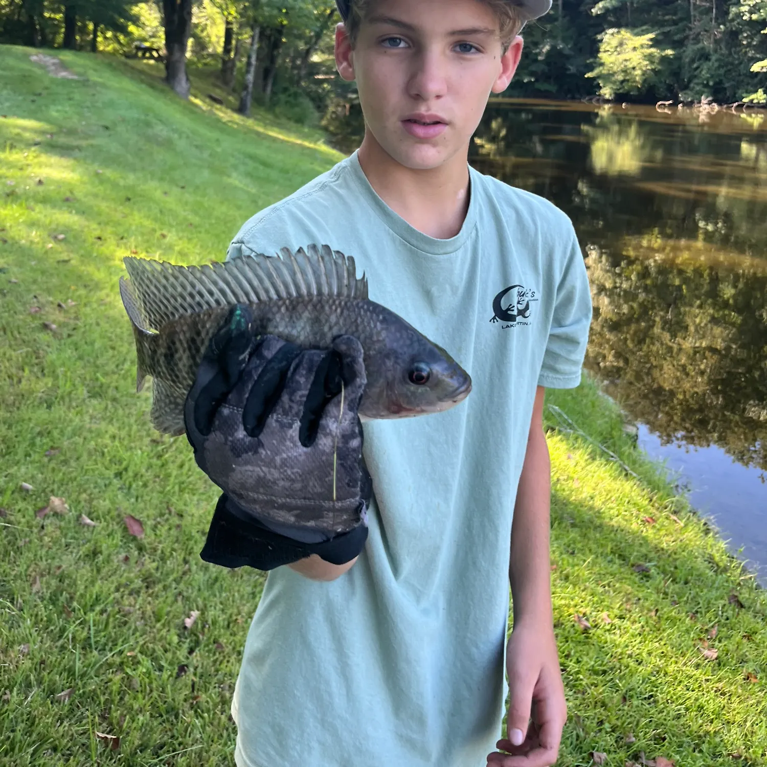 Nile tilapia caught on Fishbrain