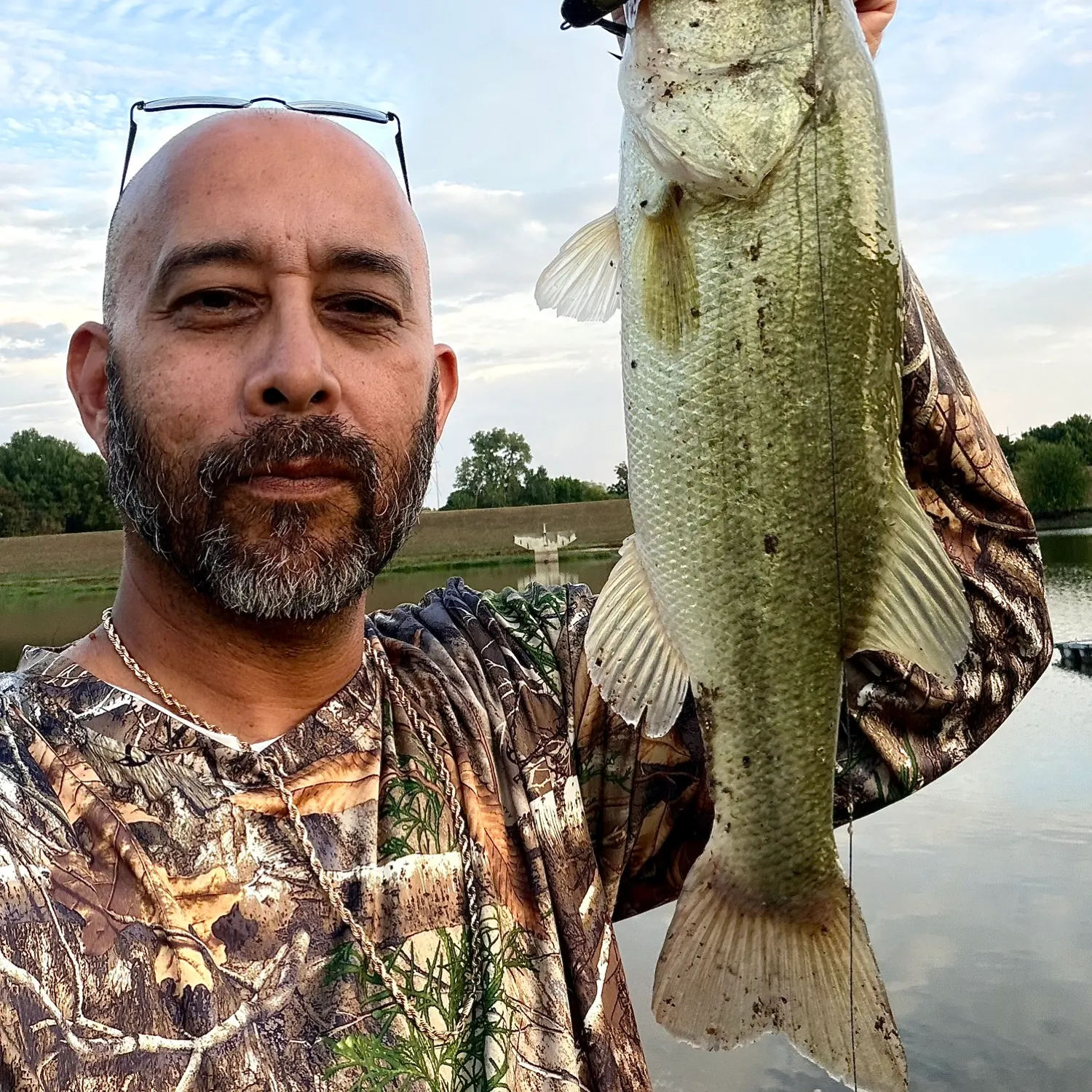 Largemouth bass caught on Fishbrain