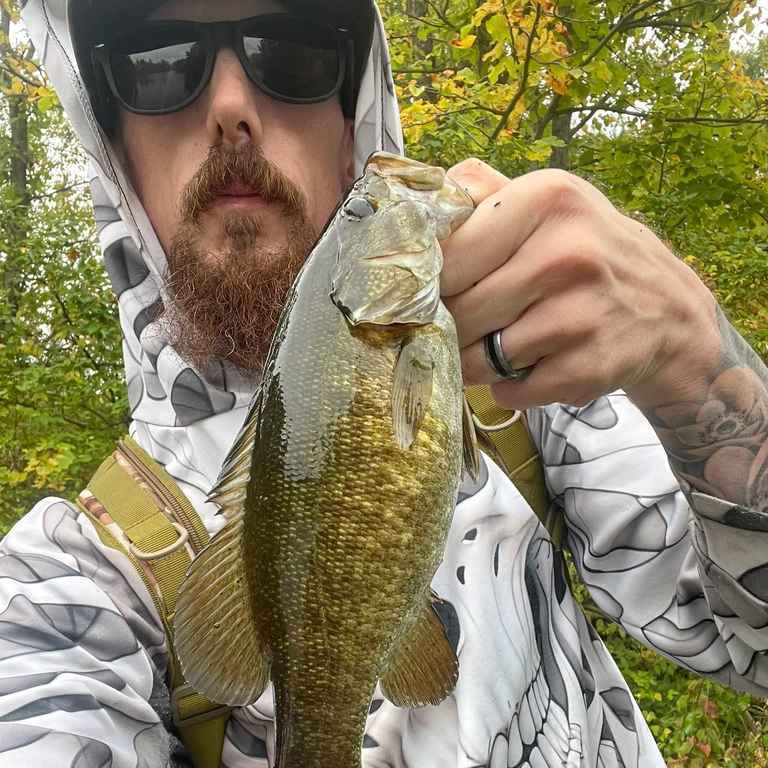 Smallmouth bass caught on Fishbrain