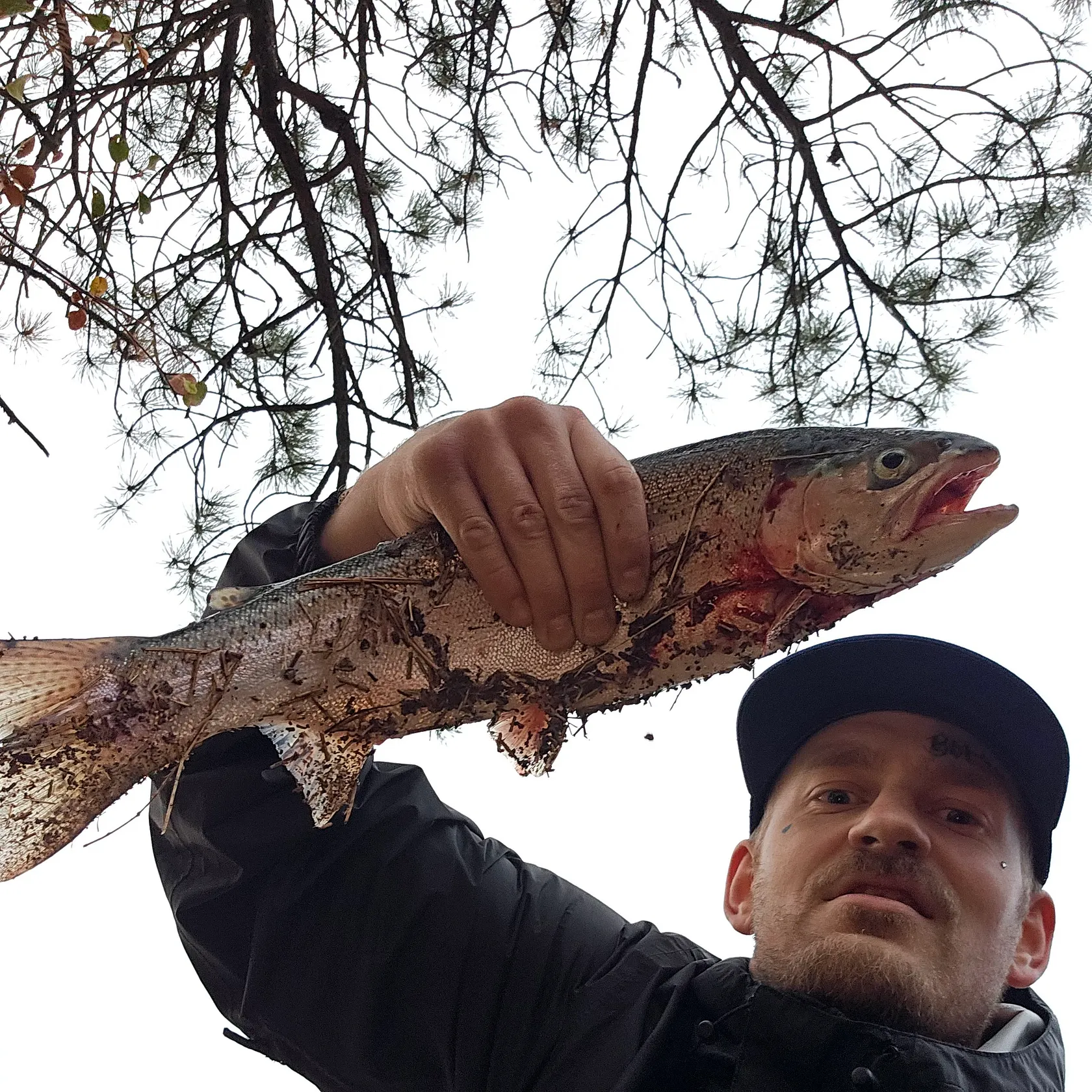 Rainbow trout caught on Fishbrain