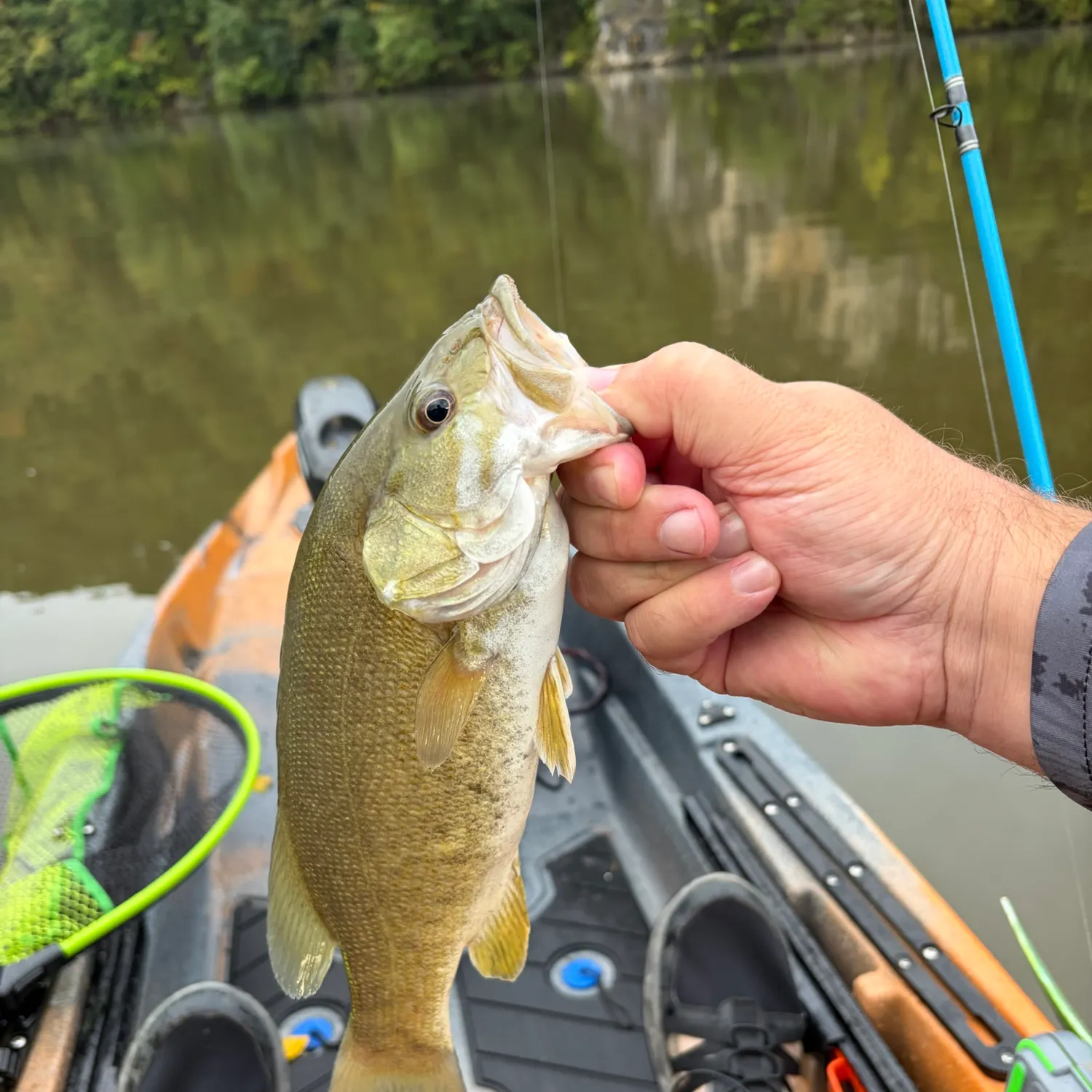 Smallmouth bass caught on Fishbrain