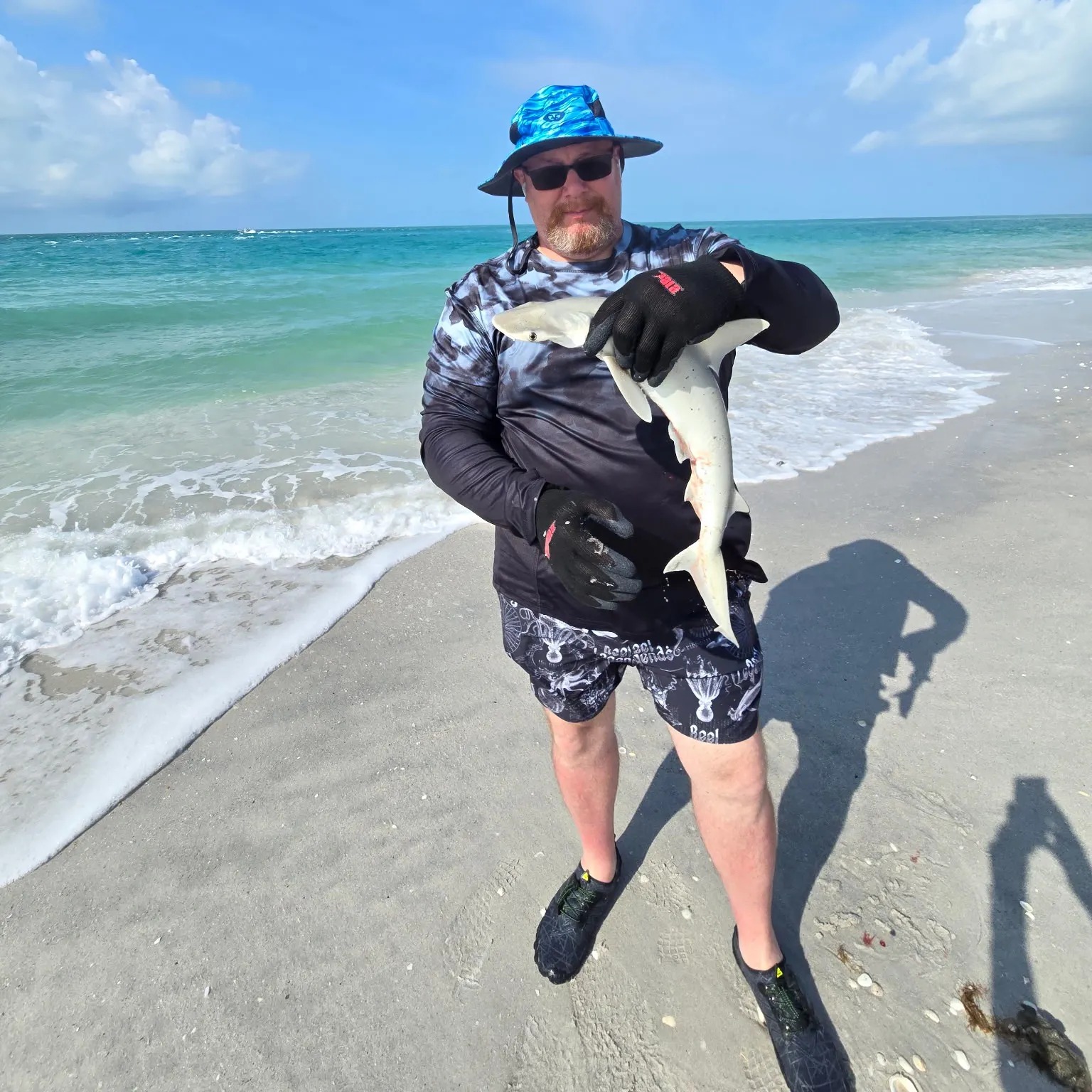 The most recent Bonnethead shark catches on Fishbrain