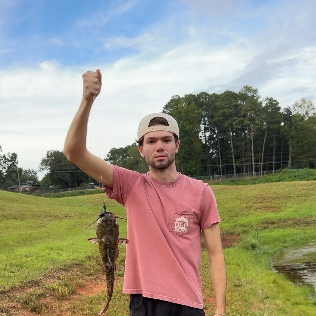 Flathead catfish caught on Fishbrain