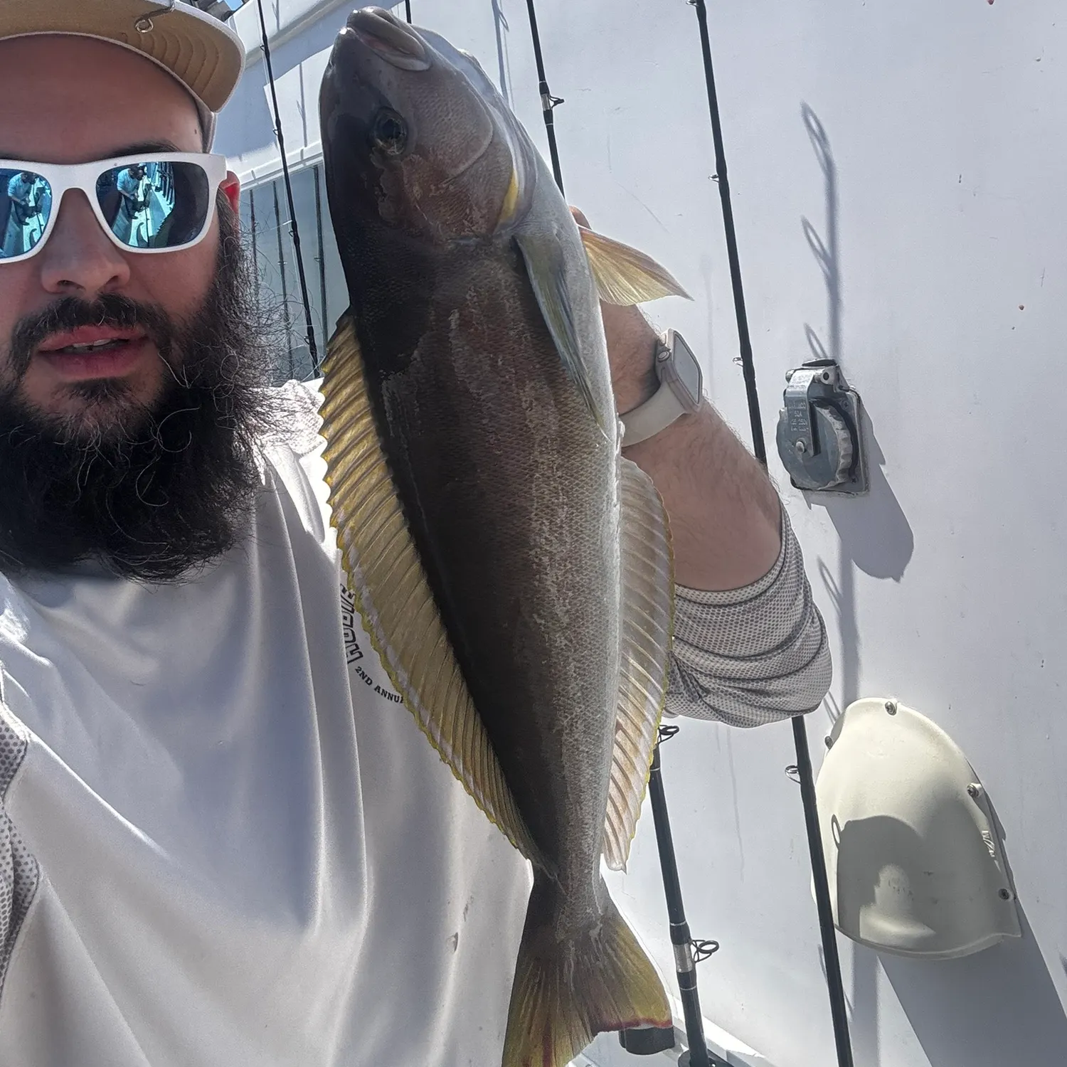 The most recent Ocean whitefish catches on Fishbrain