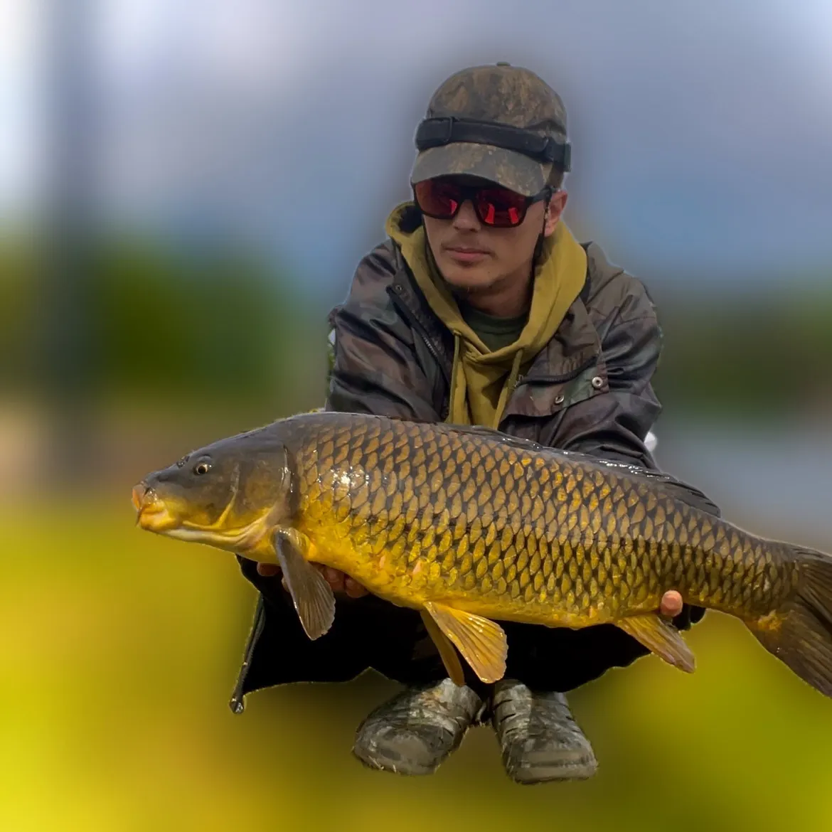 Common carp caught on Fishbrain