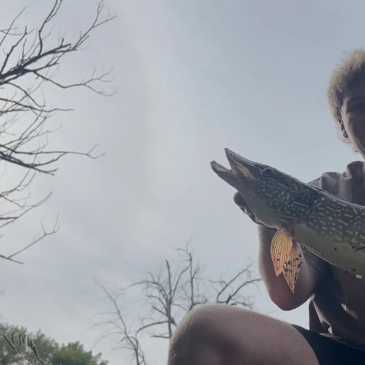 Northern pike caught on Fishbrain
