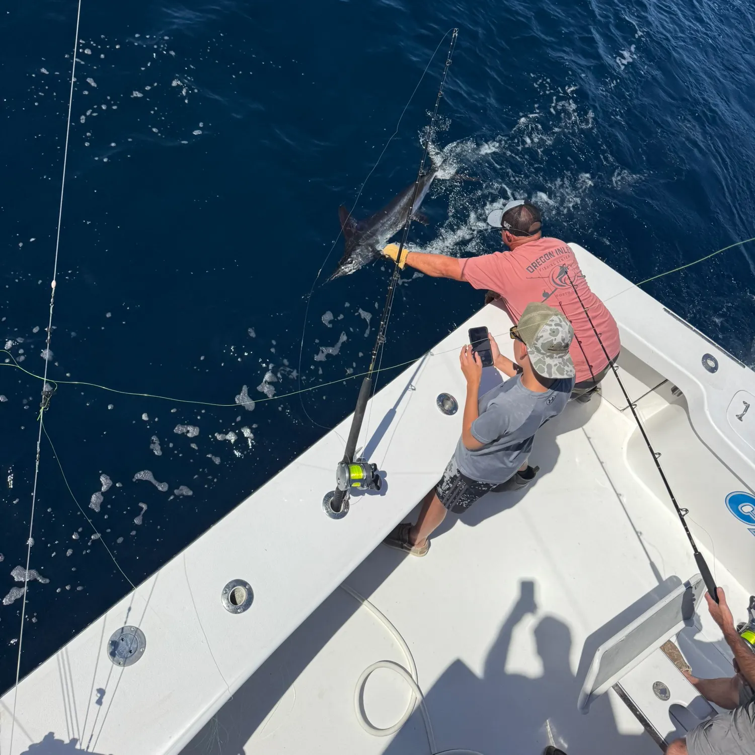 The most recent Atlantic white marlin catches on Fishbrain
