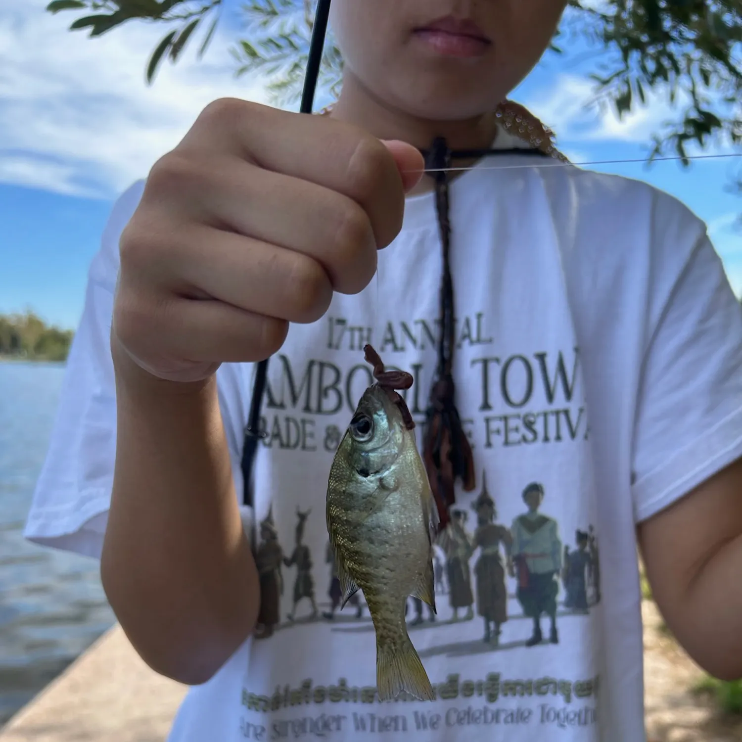 Bluegill caught on Fishbrain