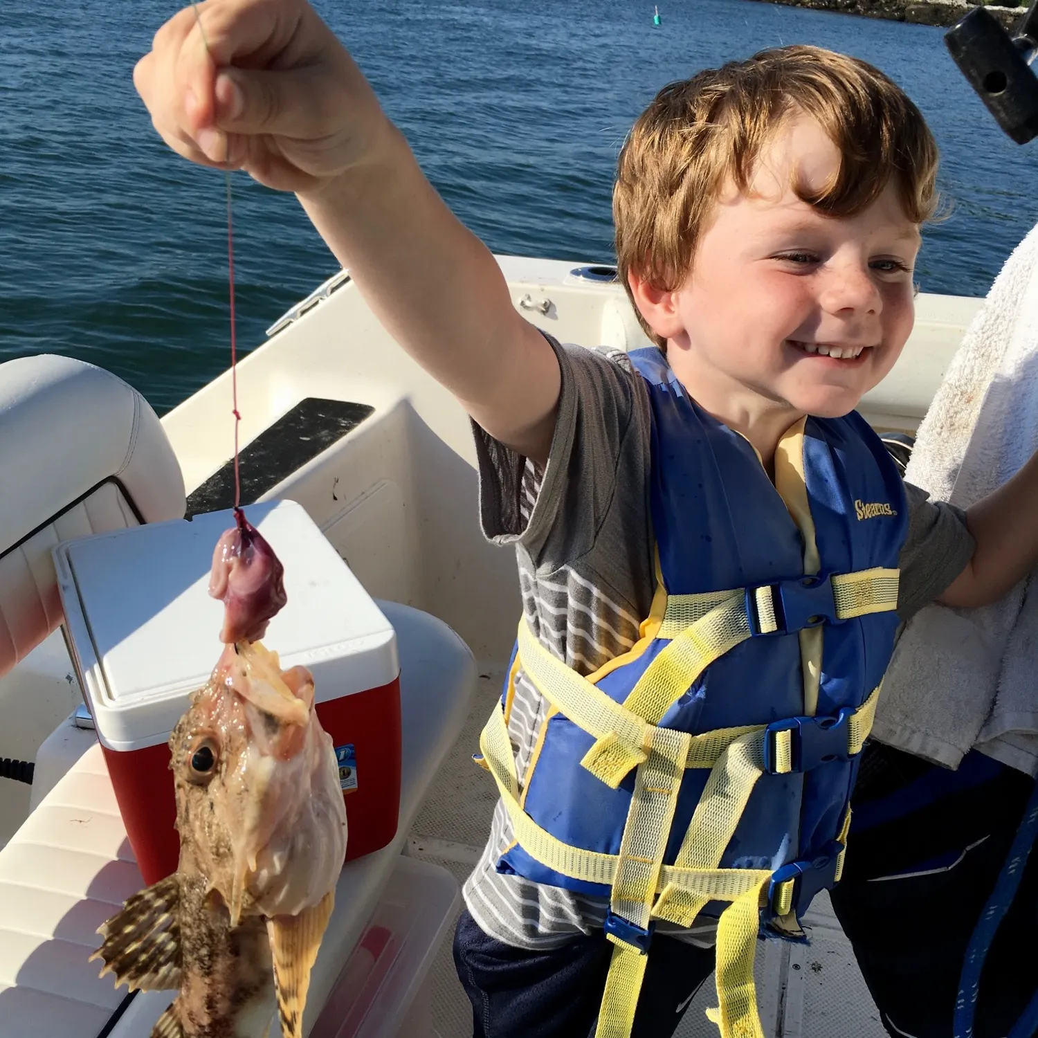 The most recent Longhorn sculpin catches on Fishbrain
