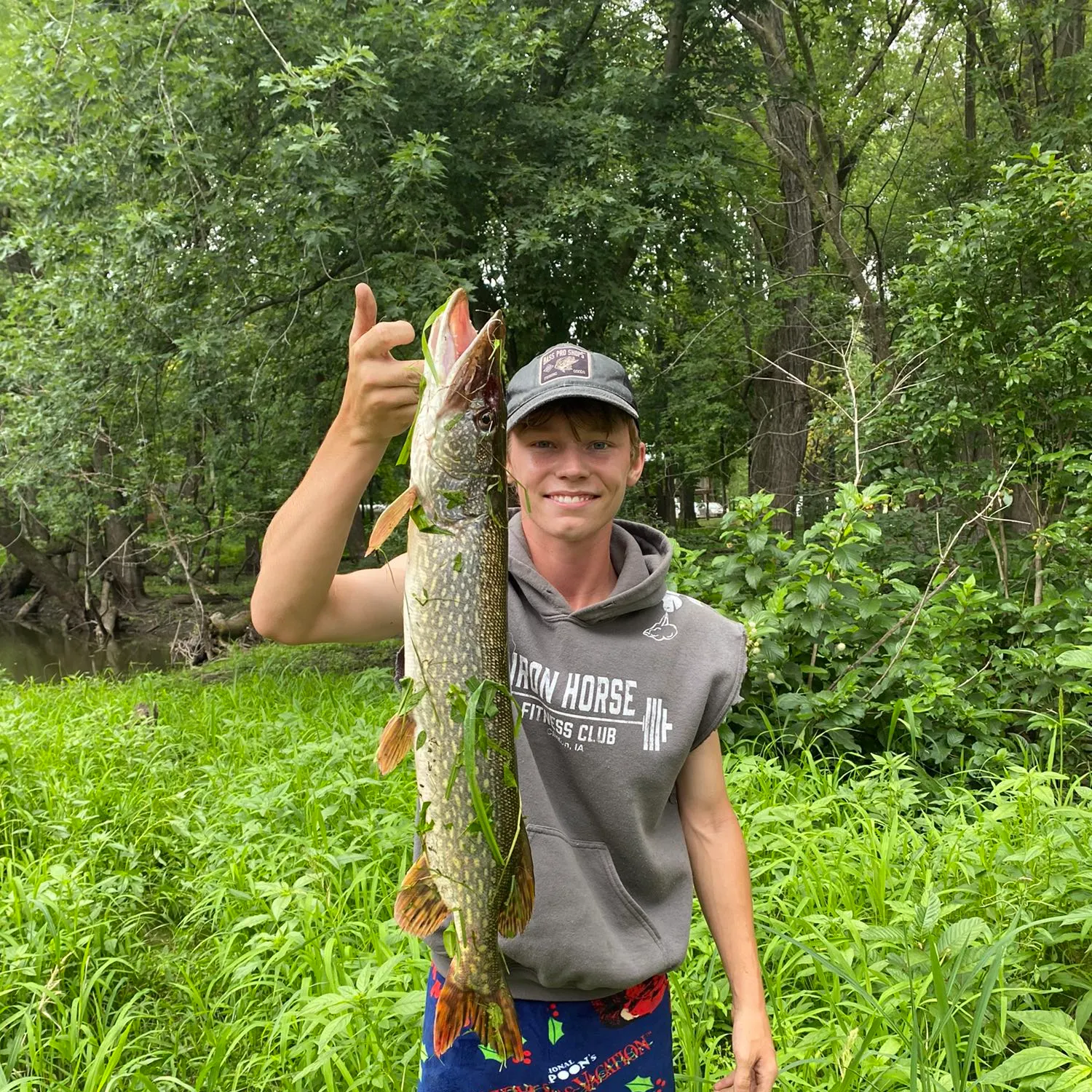 Northern pike caught on Fishbrain