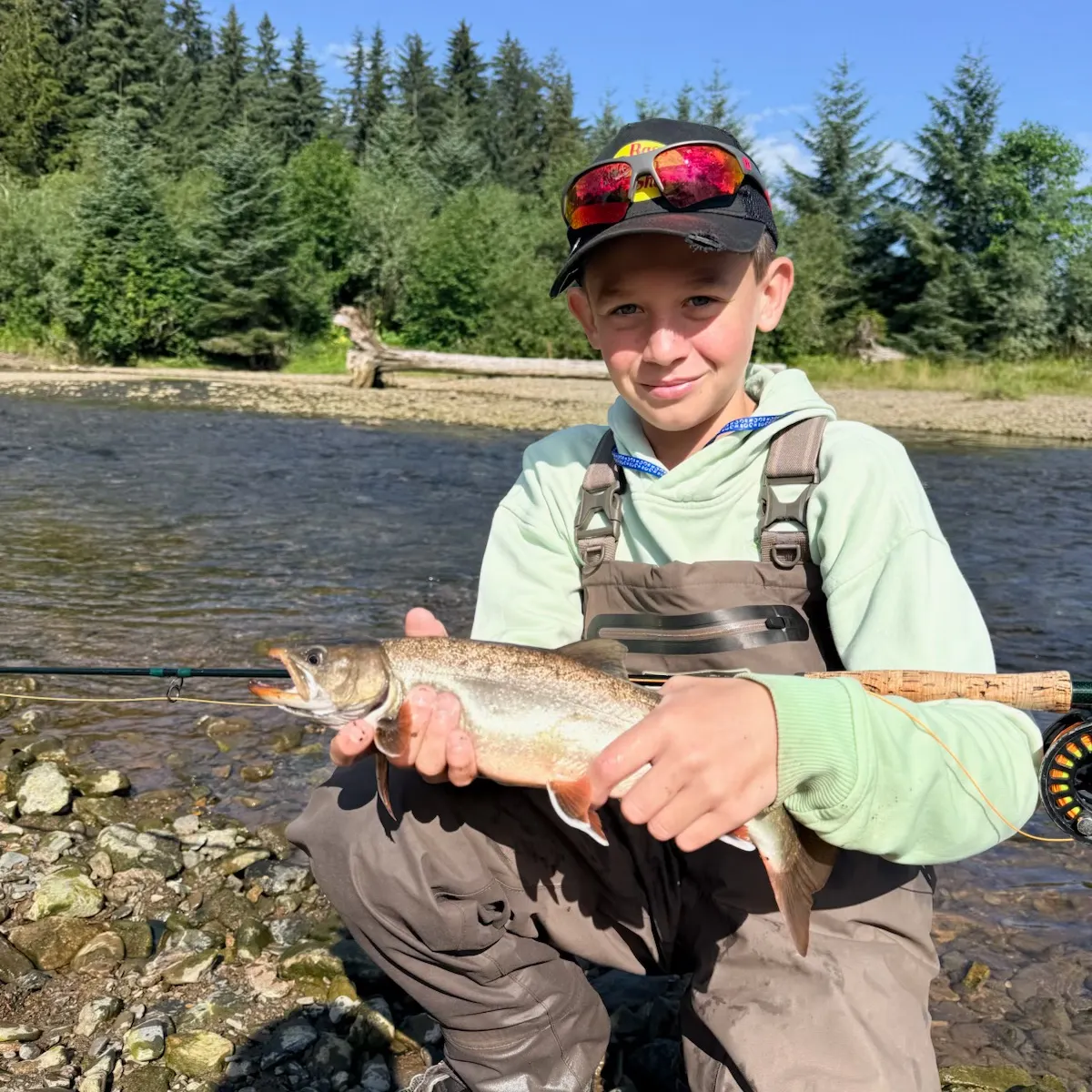 The most recent Dolly varden catches on Fishbrain