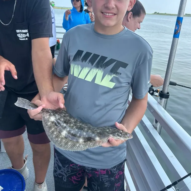 Summer flounder caught on Fishbrain