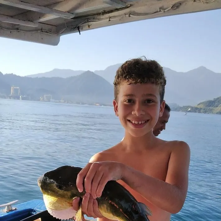The most recent Smooth puffer catches on Fishbrain