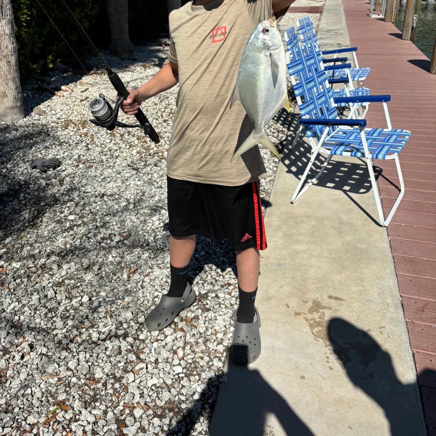 The most recent Permit catches on Fishbrain