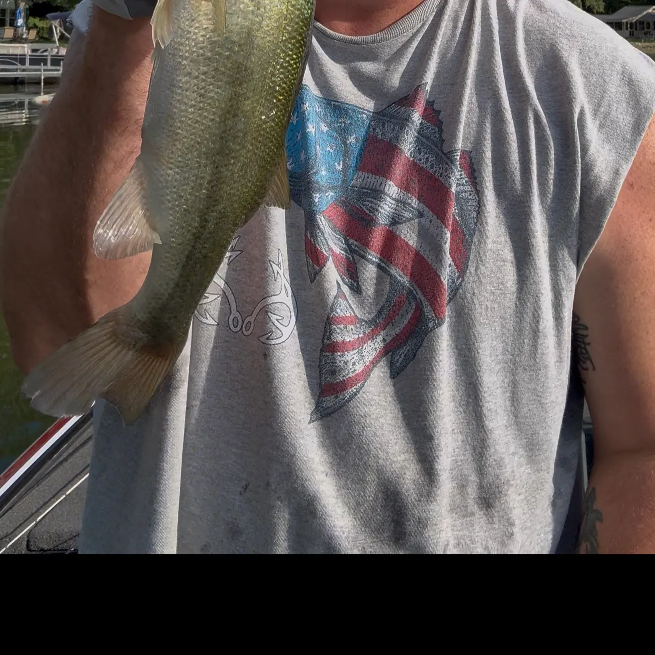 Largemouth bass caught on Fishbrain