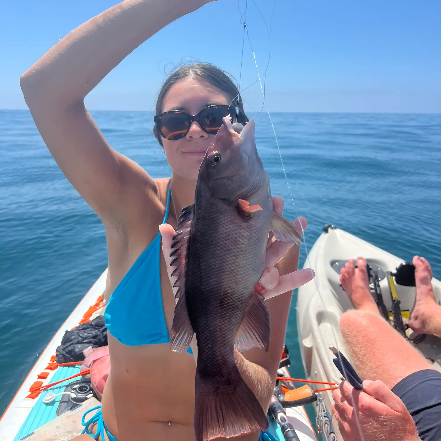 The most recent California sheephead catches on Fishbrain