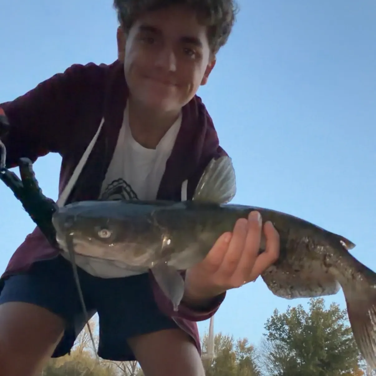 Channel catfish caught on Fishbrain