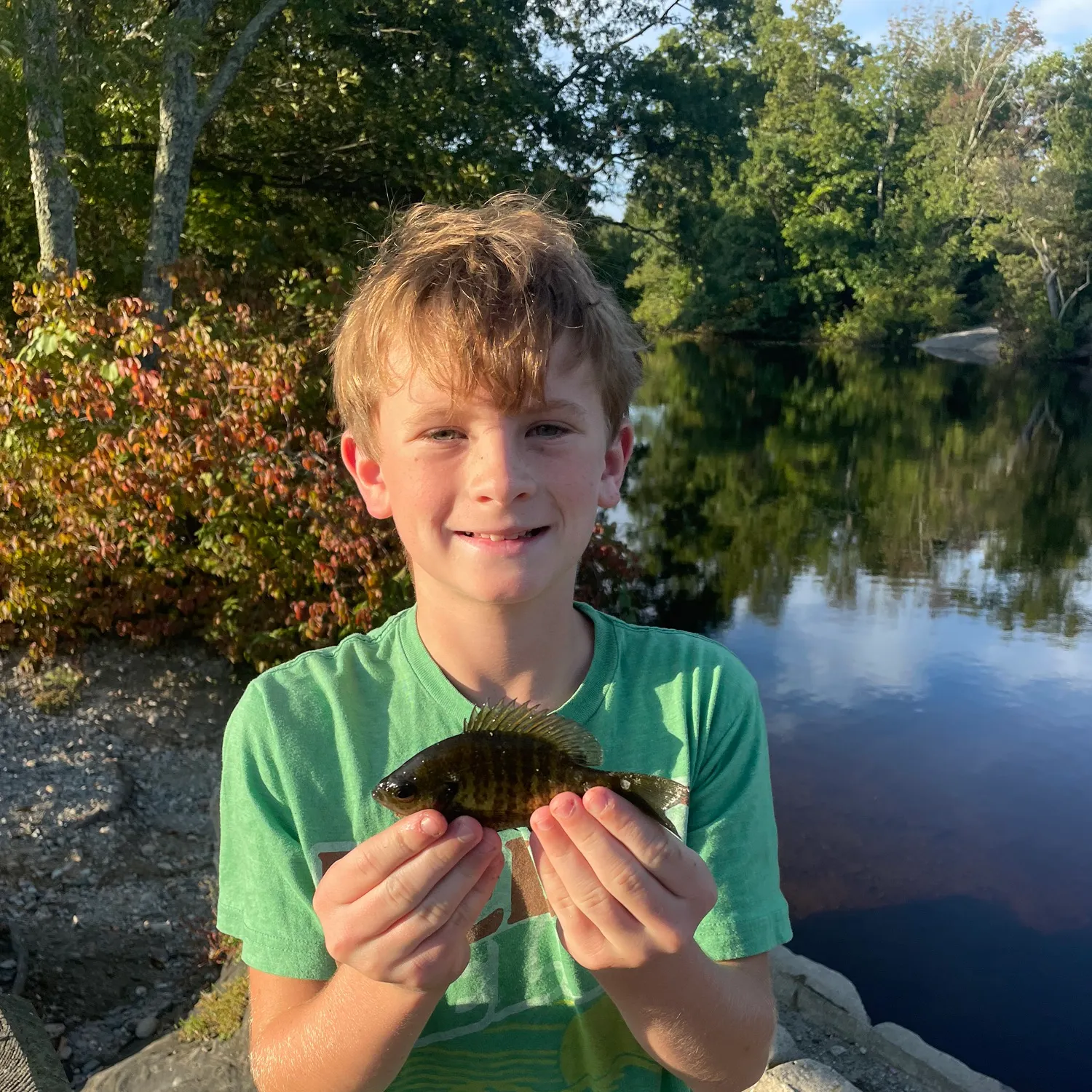Bluegill caught on Fishbrain
