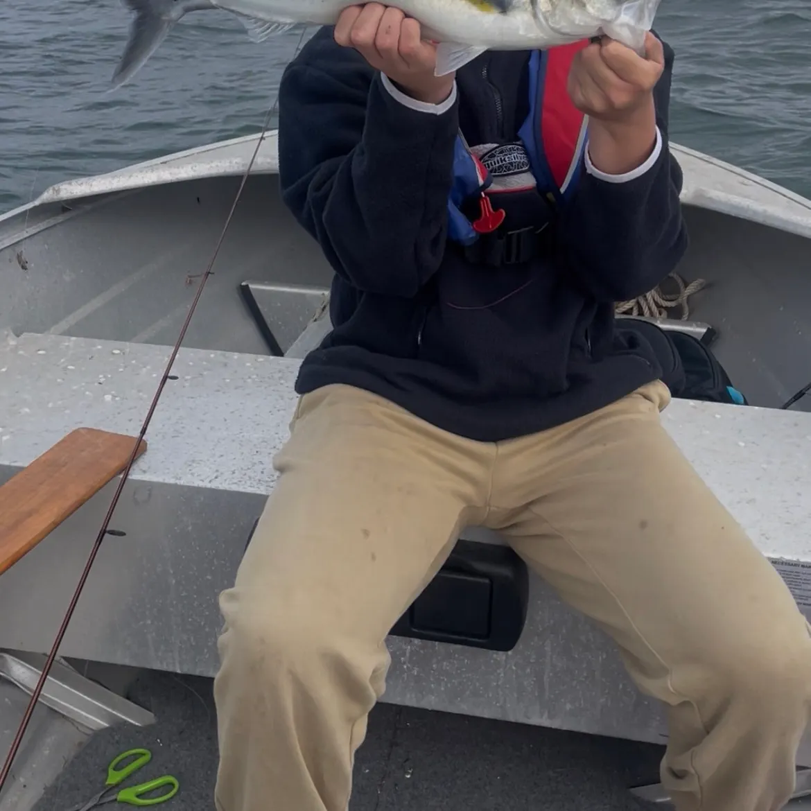 The most recent Eastern Australian salmon catches on Fishbrain