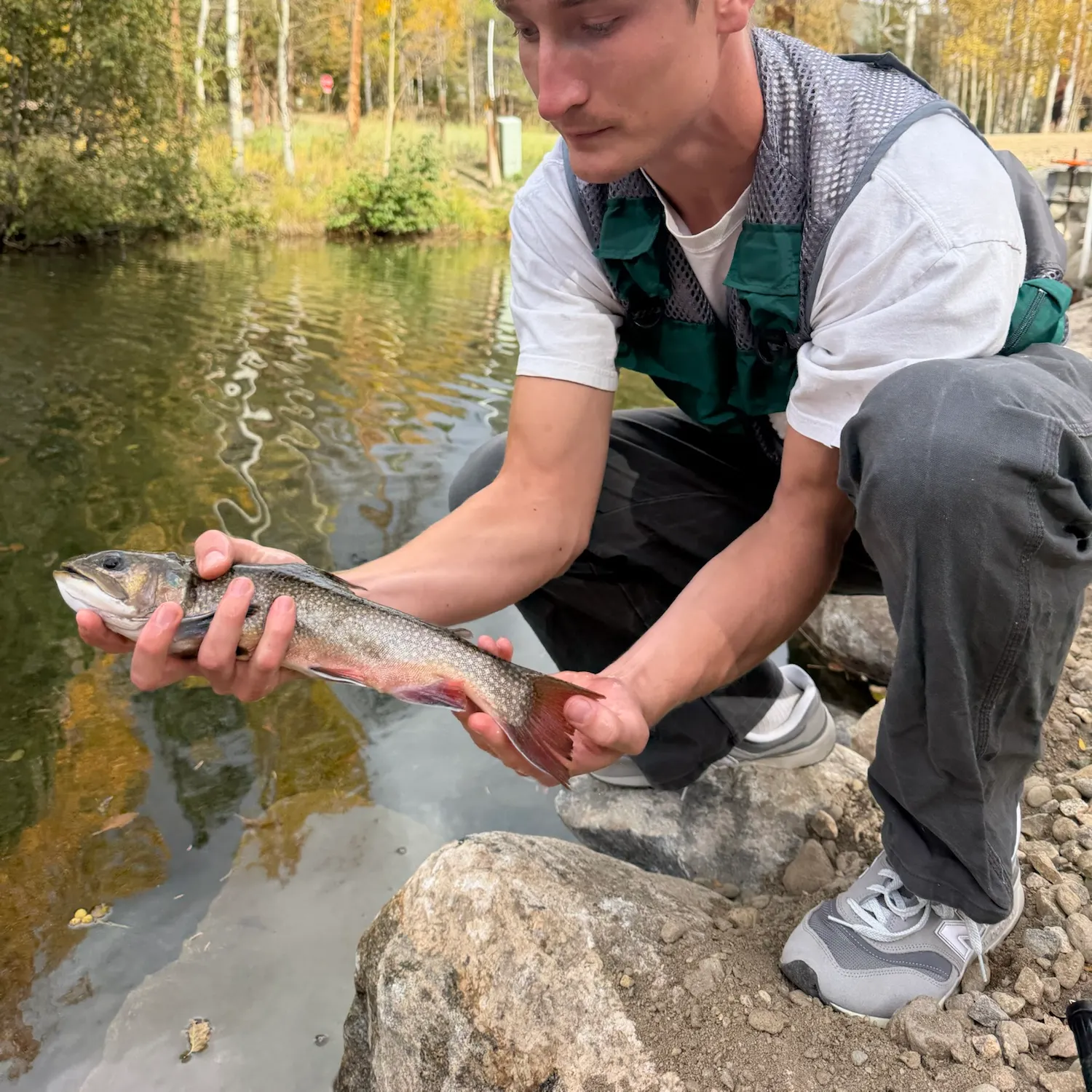 Brook trout caught on Fishbrain