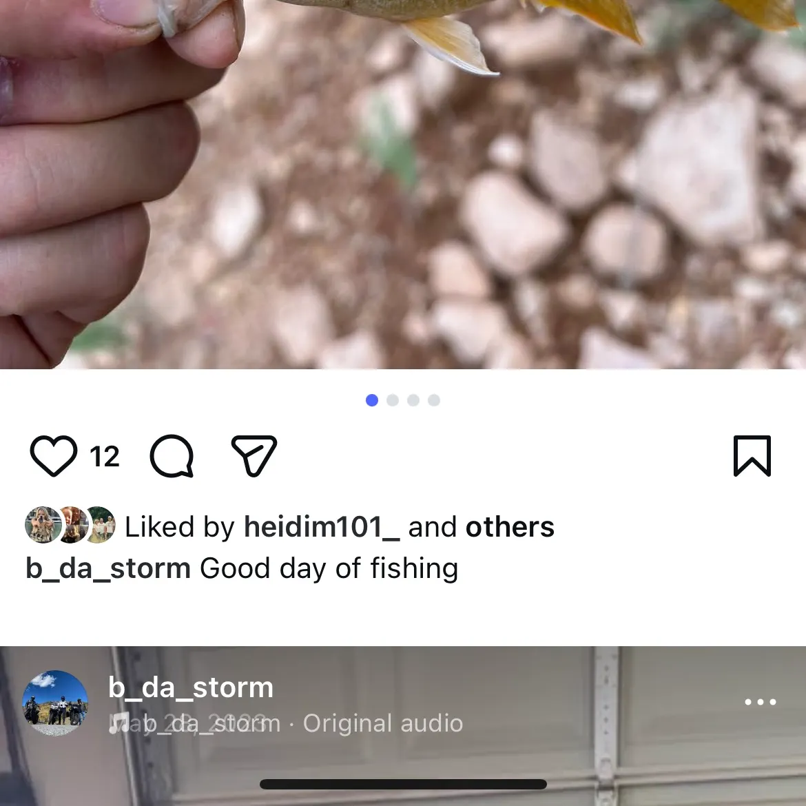 The most recent Green sunfish catches on Fishbrain