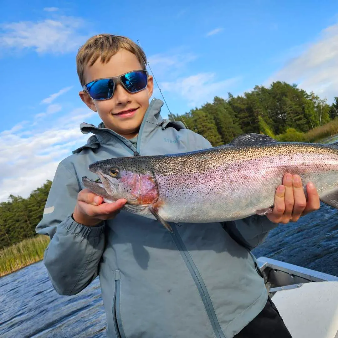 Rainbow trout caught on Fishbrain