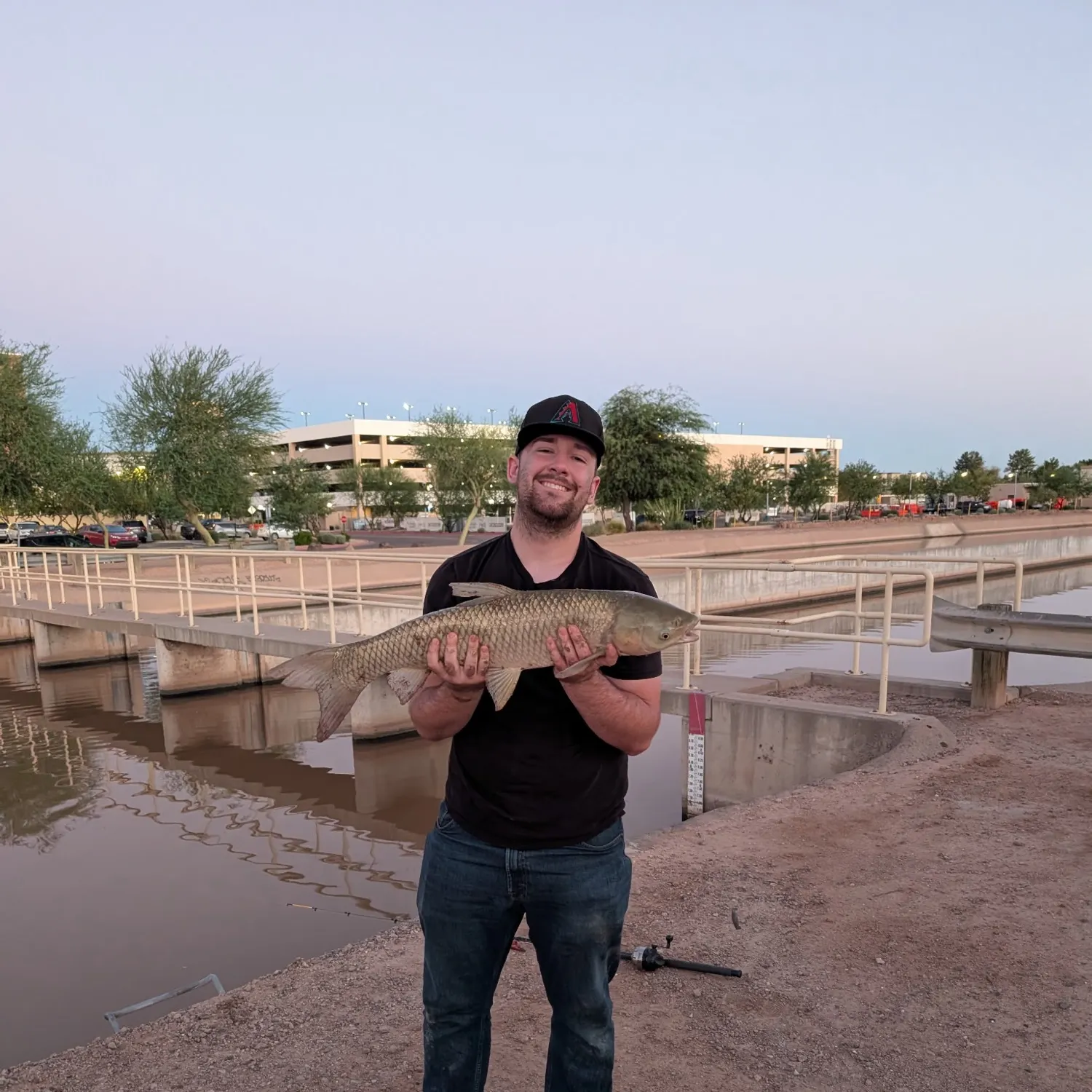 Grass carp caught on Fishbrain