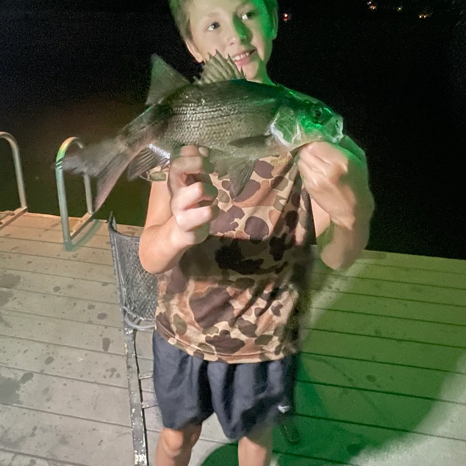 White bass caught on Fishbrain