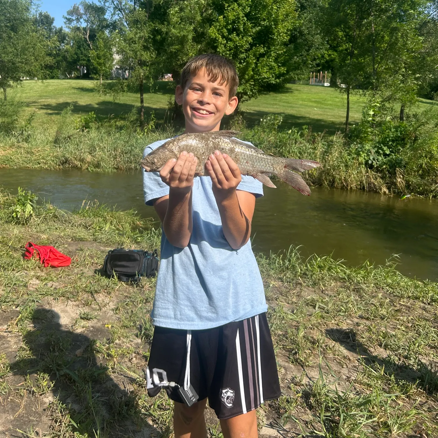 The most recent Quillback catches on Fishbrain