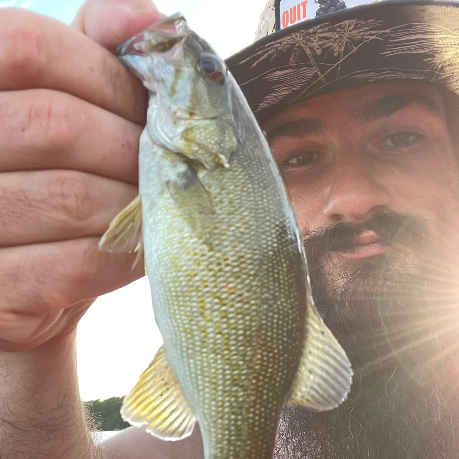 Smallmouth bass caught on Fishbrain
