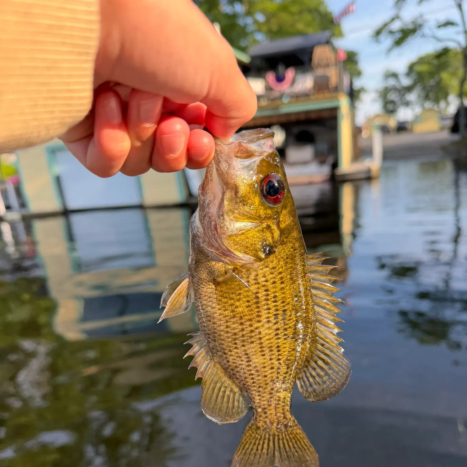 catch