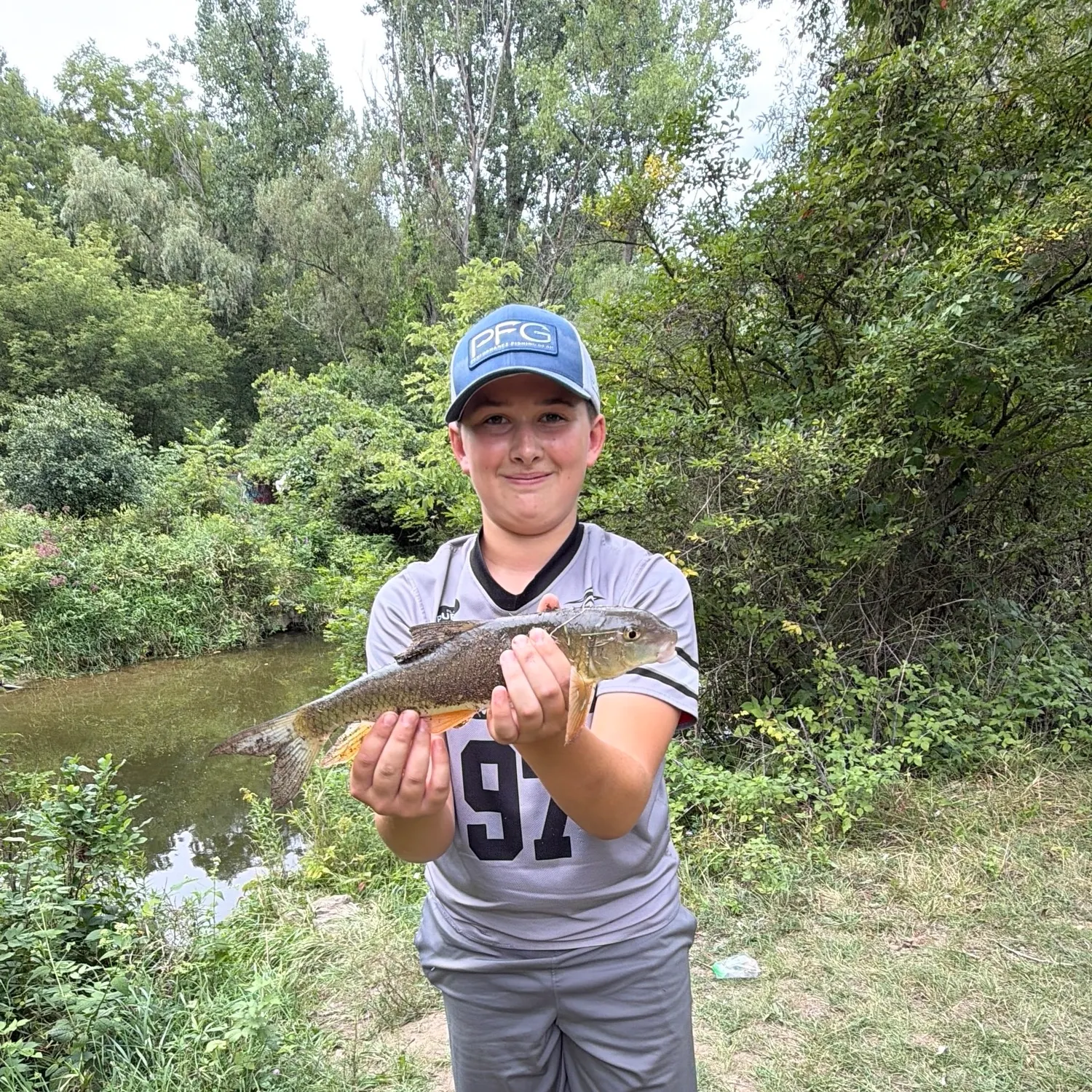 White sucker caught on Fishbrain