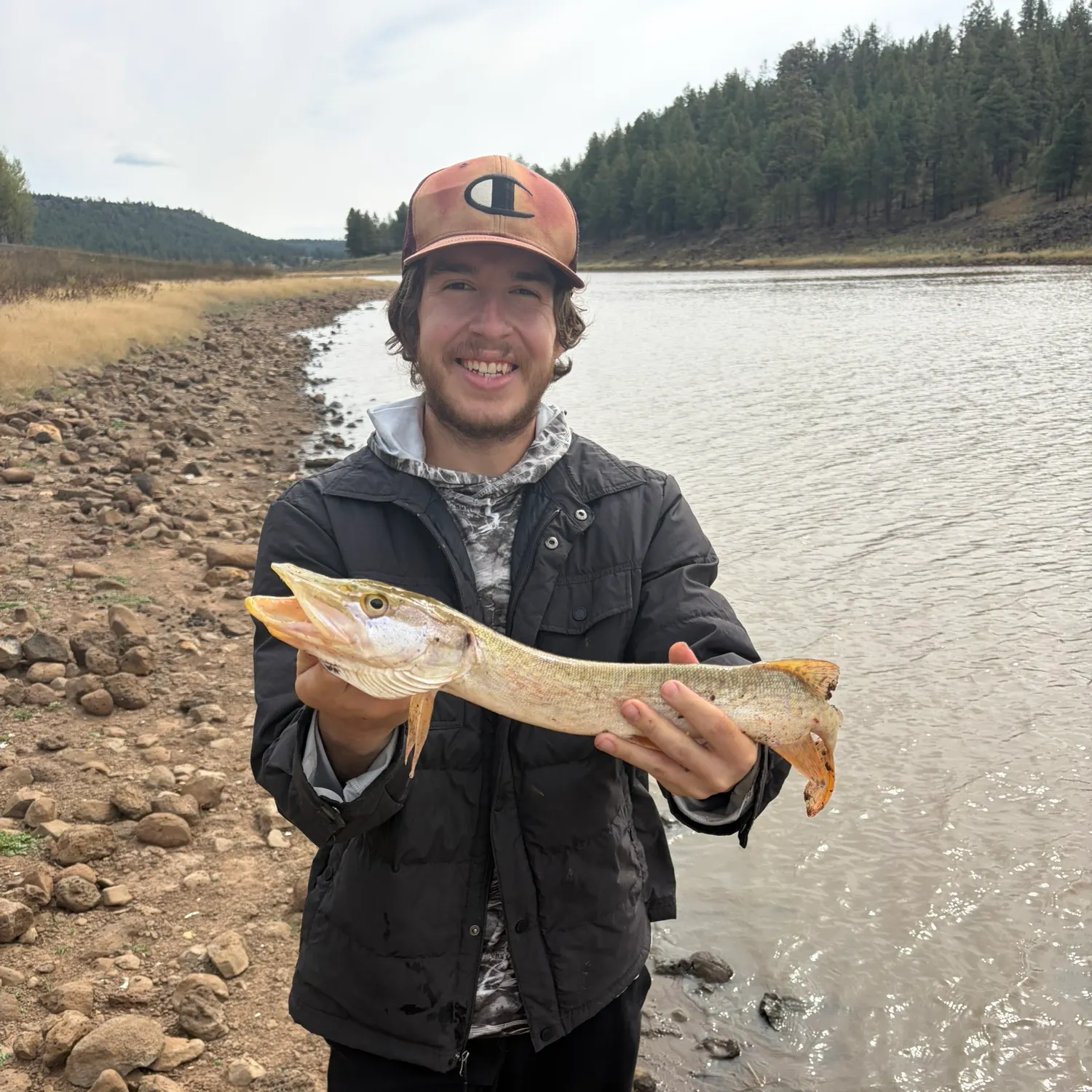 Northern pike caught on Fishbrain
