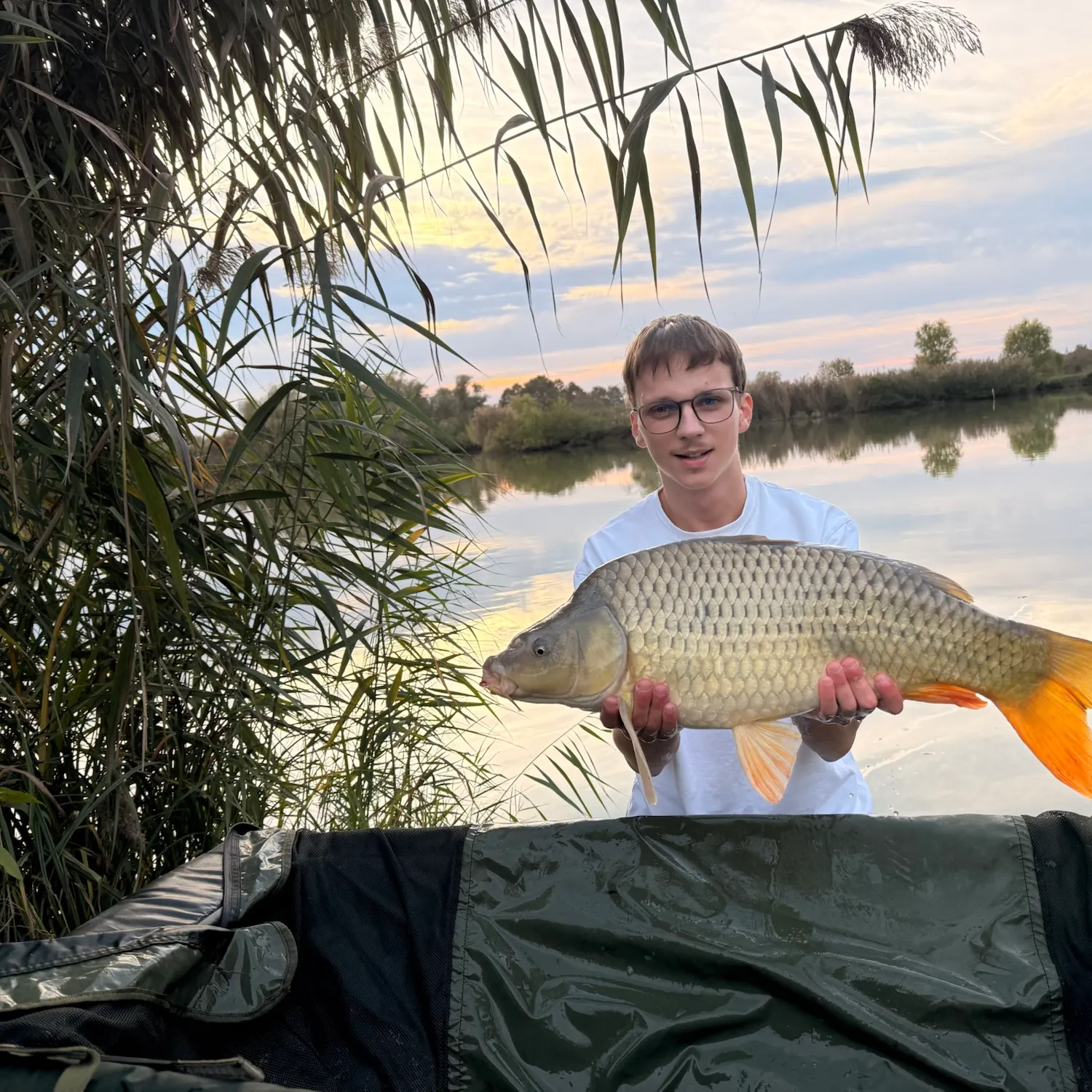Common carp caught on Fishbrain