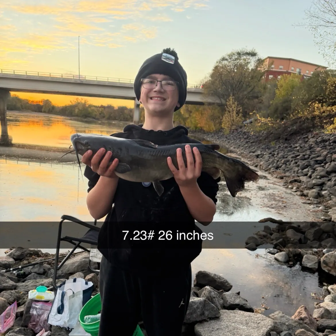 Channel catfish caught on Fishbrain