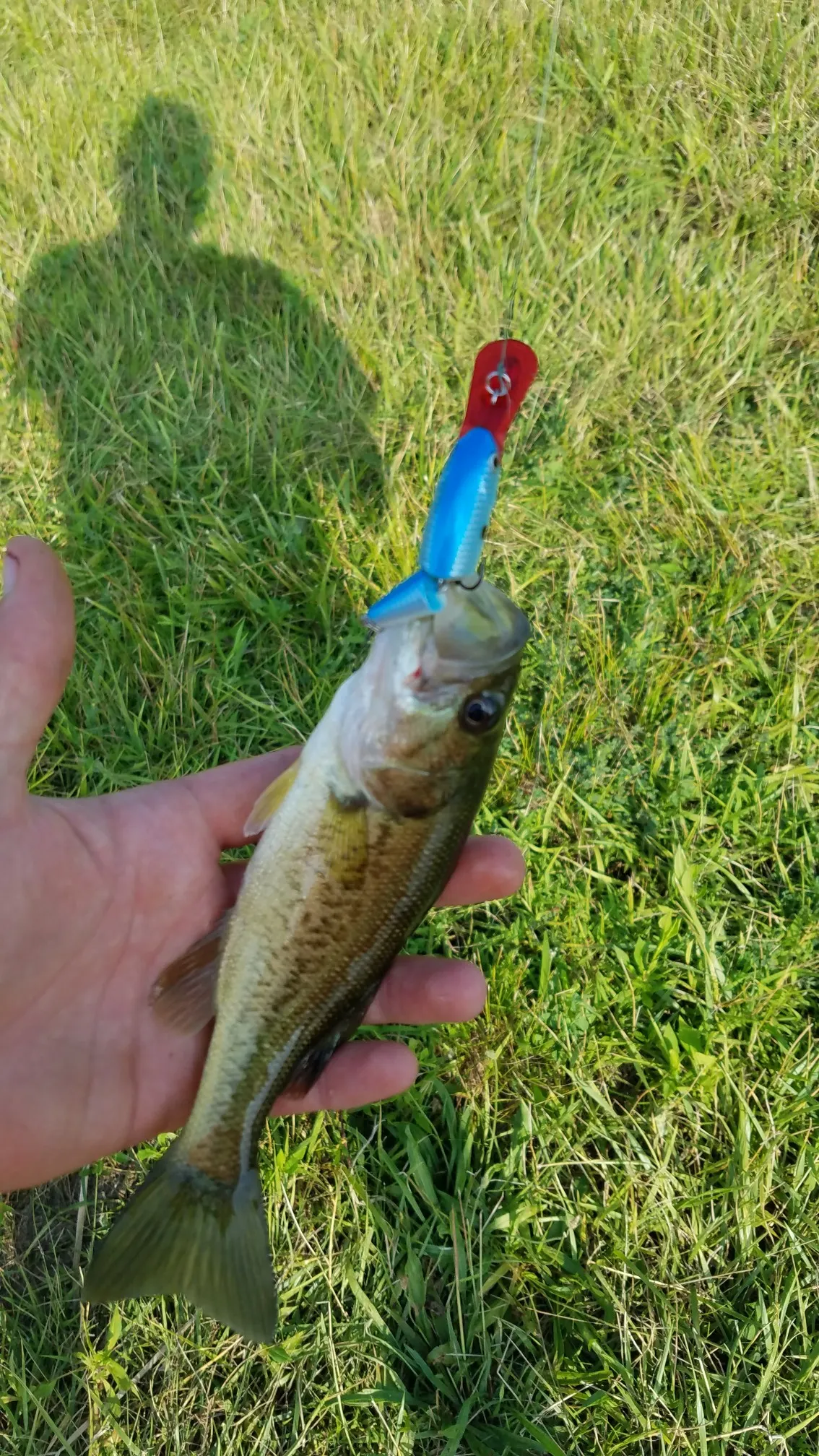 Post image from RiverRecon