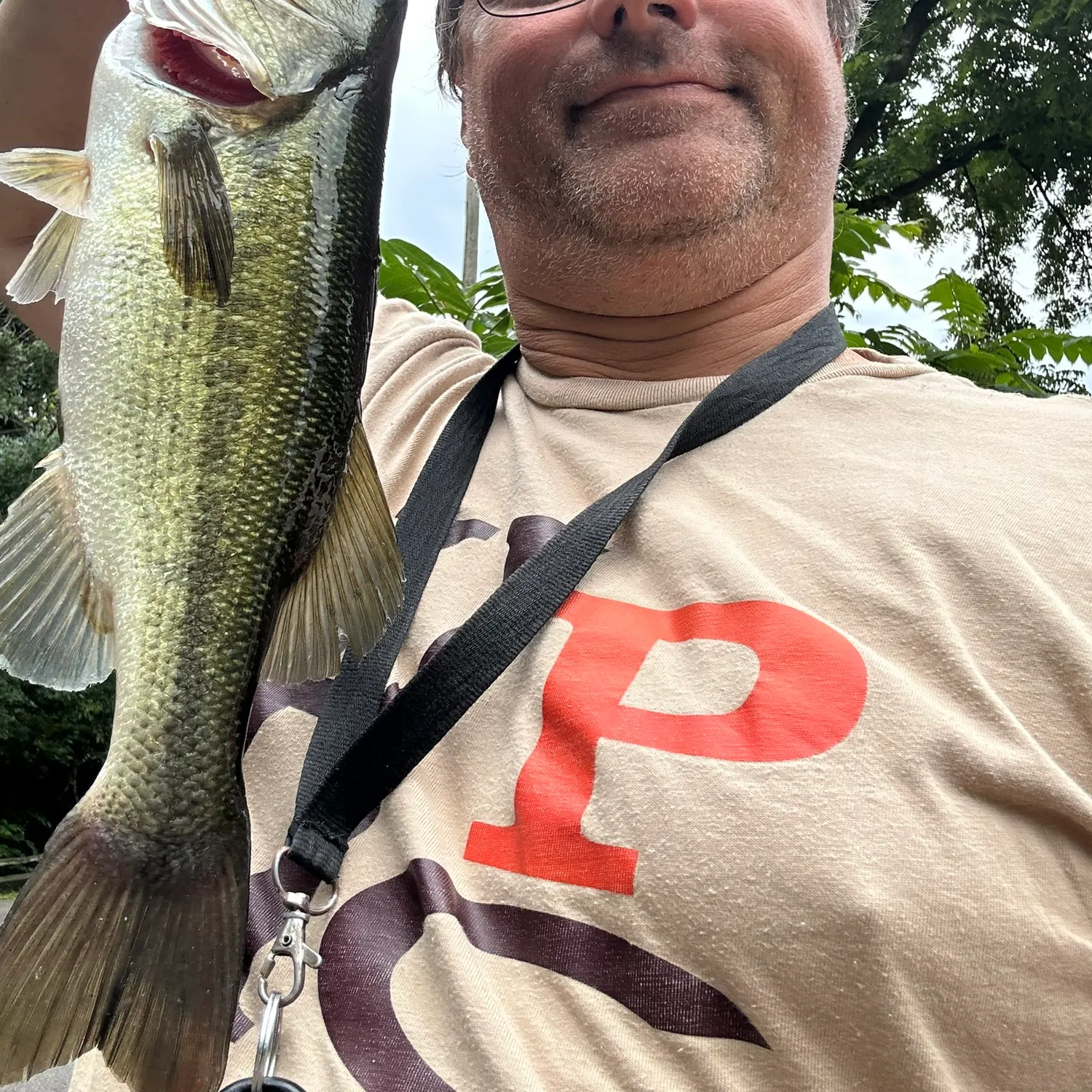 Largemouth bass caught on Fishbrain