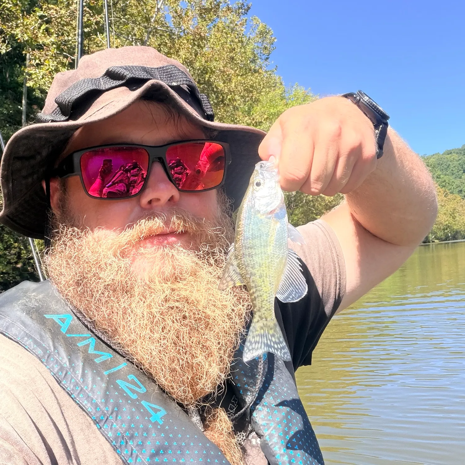 White crappie caught on Fishbrain