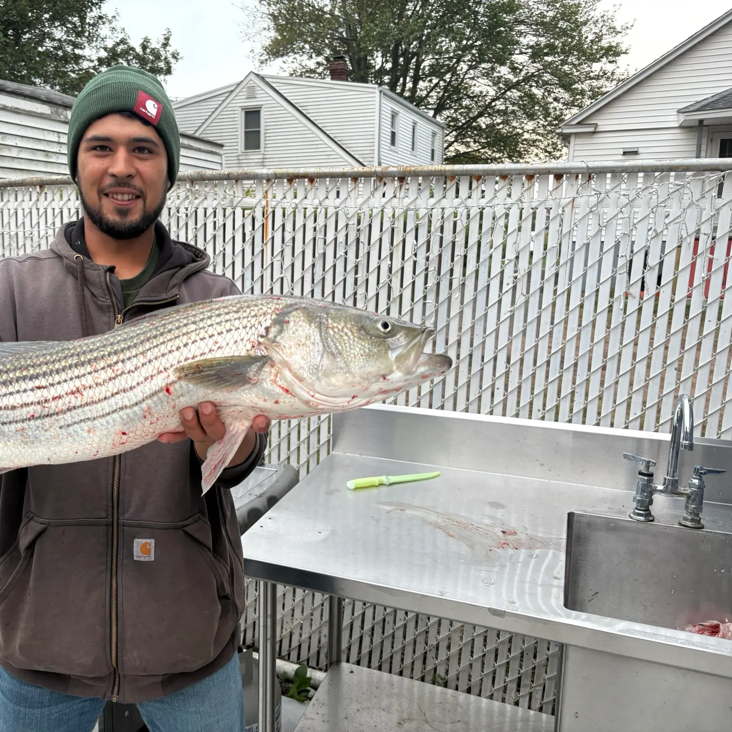 recently logged catches